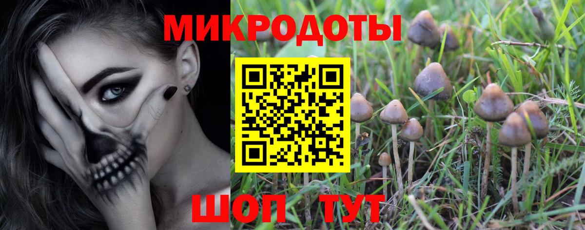 Медногорск  Галлюциногенные грибы MAGIC MUSHROOMS  Вход с VPN  Псилоцибиновые грибы MAGIC MUSHROOMS 
